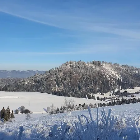 別荘 Gorskie Tarasy